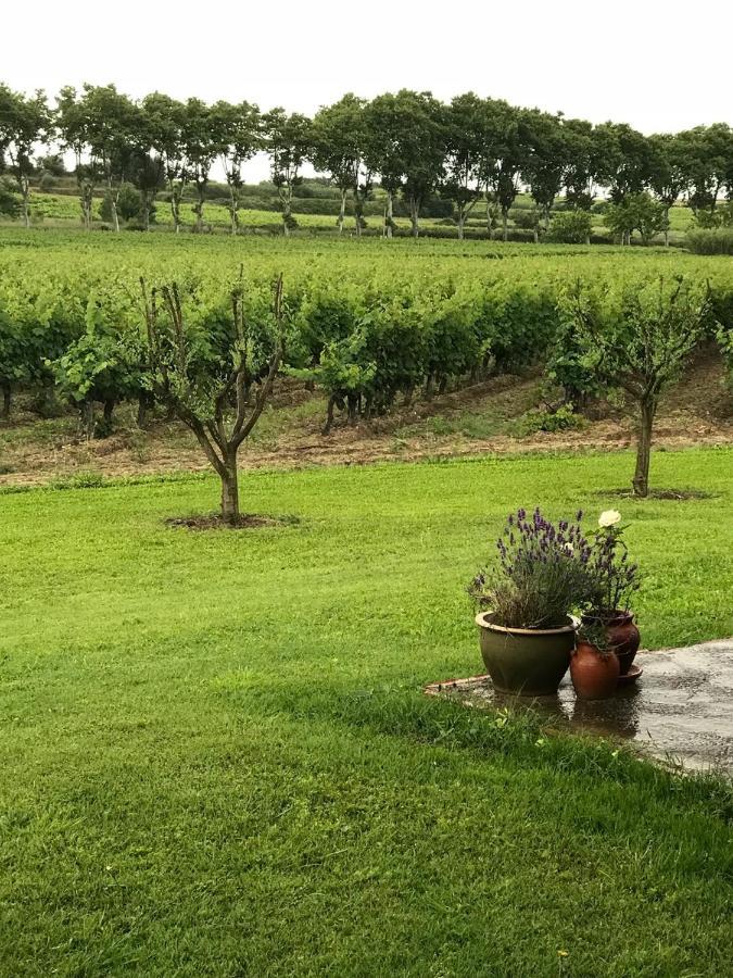 Domaine De Peilhan Roujan Exterior photo